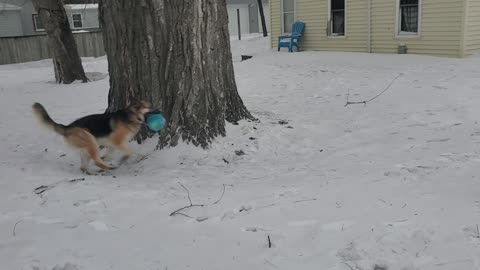 Yogi with his big throbbing pumpkin and frozen blue balls (3 of 8)