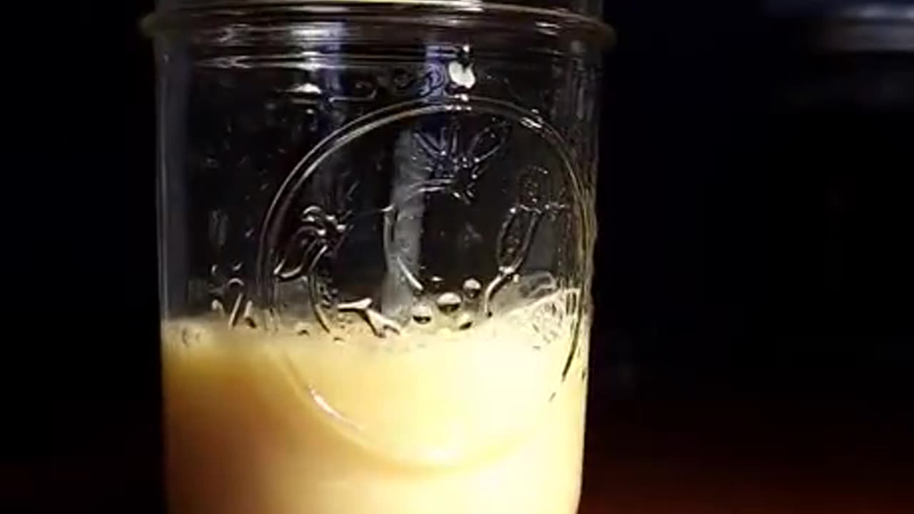 Probiotic under a microscope