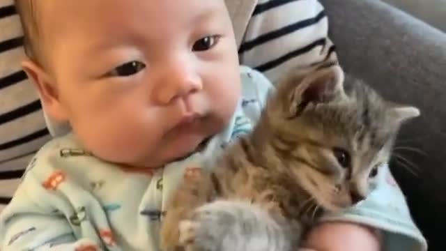 cat and baby