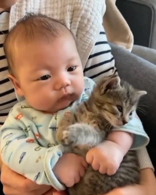 cat and baby