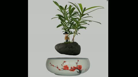 how to make a floating bonsai plant