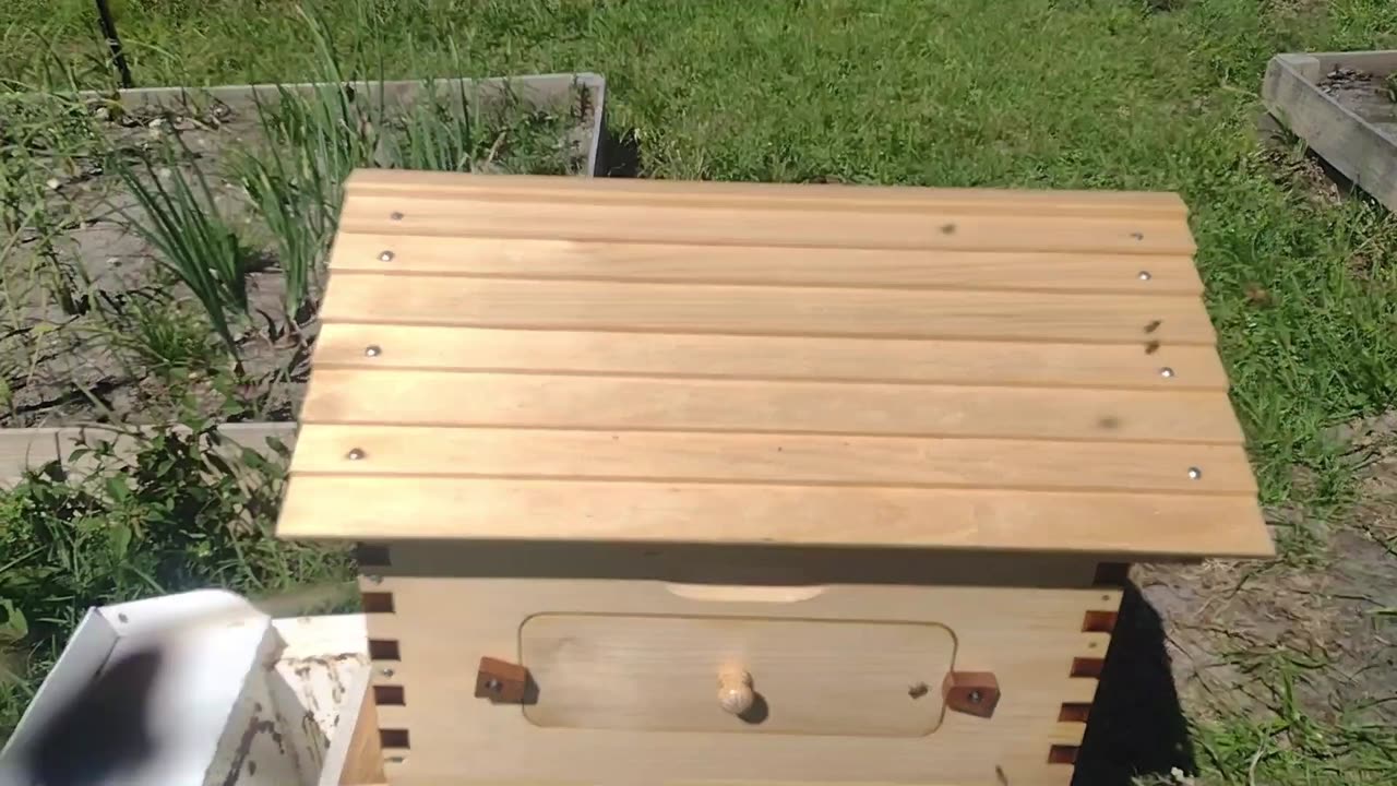 First set of bees for the farm!!!