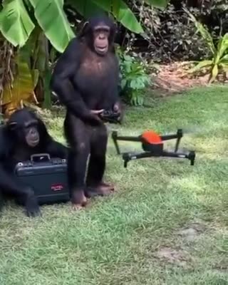 #WestRussiaWar in #Ukraine Western instructors have arrived