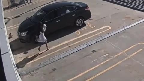 Woman Throws Her Dog Off Car Lot Roof