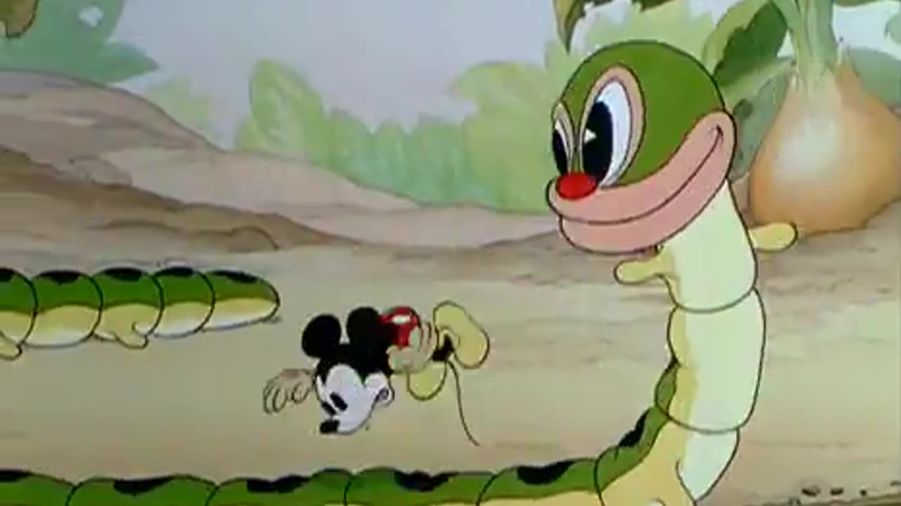 WALT DISNEY CARTOON
