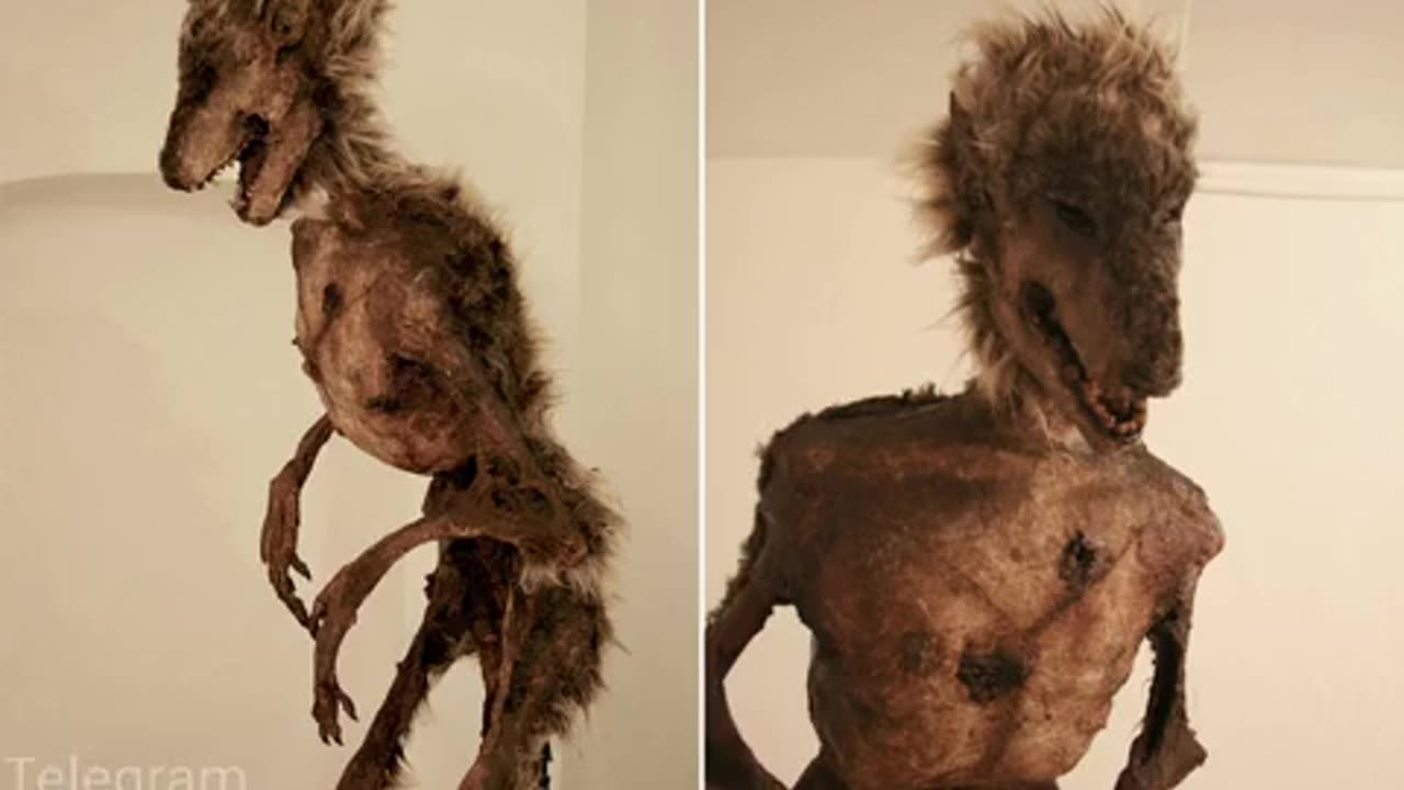 A Collection of Mythical Looking Creatures Found in a House in London