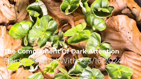 The Complement Of Dark Attention 3/16/2024