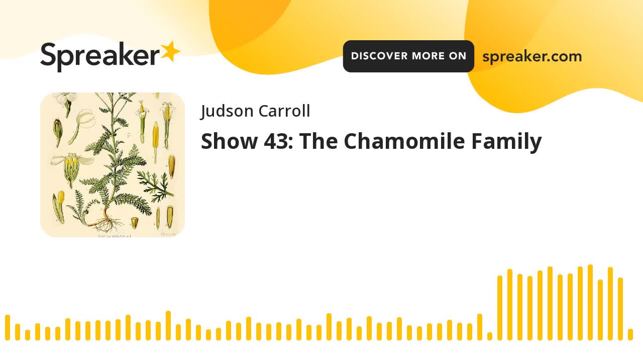 Show 43: The Chamomile Family (part 3 of 3)