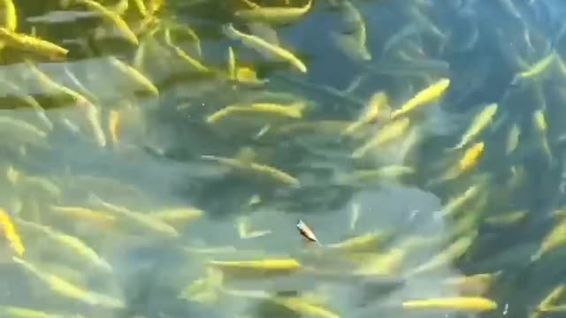 Beautiful Nature