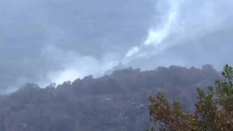 Bill Gates wants to thin out more than 70 million acres of Western forest…