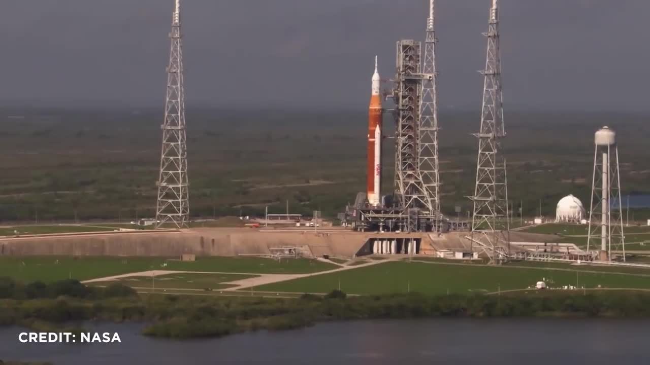 SpaceX starship stack Japan