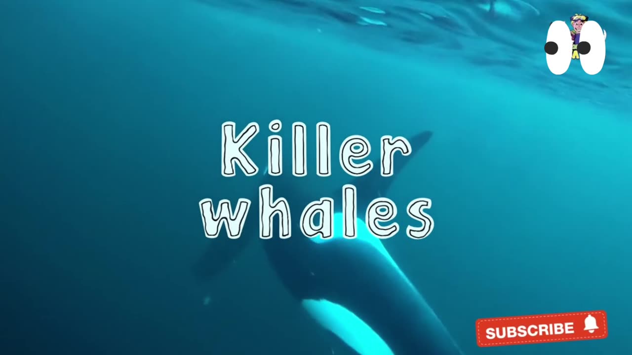 Killer whales