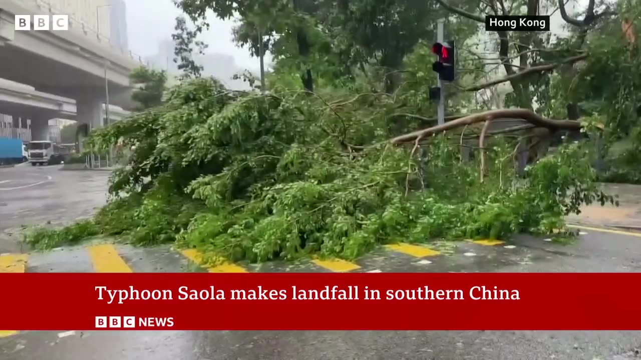 Typhoon Saola makes landfall in China - BBC News