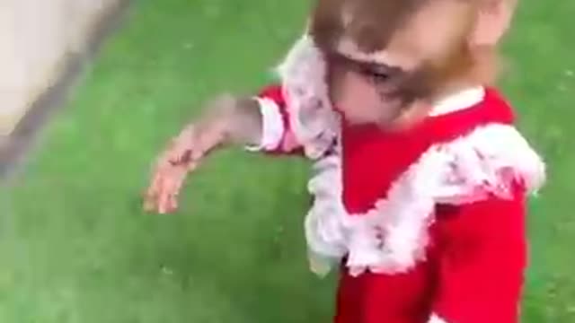 Monkey funny video.... Try not to laugh