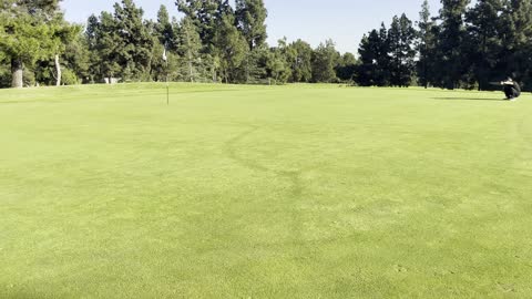 beautiful single putting