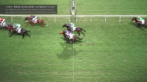 Horse_Race_2022060101_Chinese