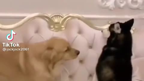 🐶Lock of power
