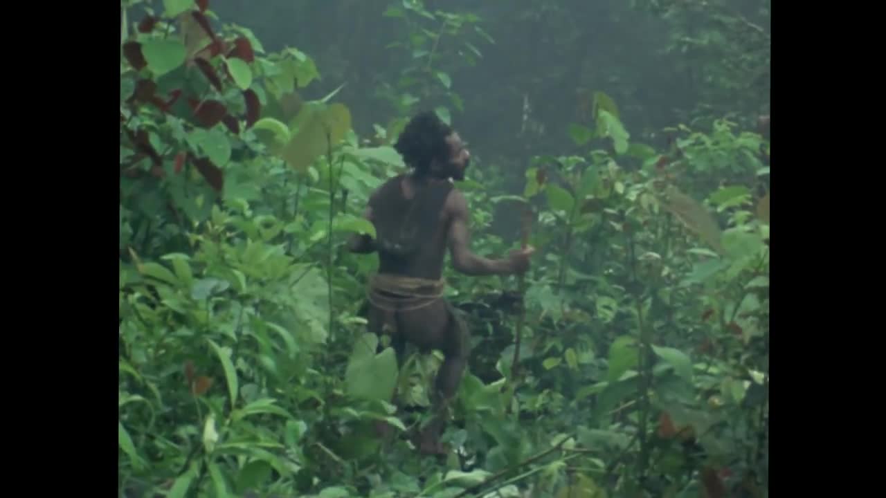 Meeting A Lost Tribe | #Attenborough90 | BBC