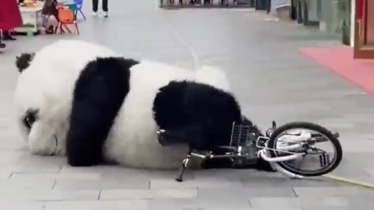 Cute panda ❤️ 🐼 #status #subscribe #trending #viral #shortsvideo #video #shorts #funny #share