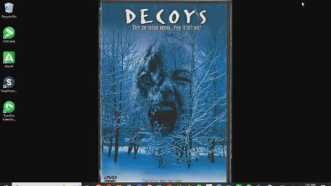 Decoys Review