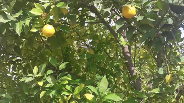 It_ fills_ the mind to see_ such a beautiful malt