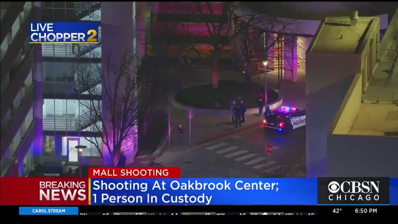 Shoppers evacuated from the Oak Brook Center Mall in IL after shots fired