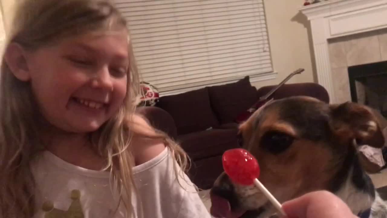 Sharing A Watermelon Blow Pop With The Dogs