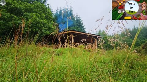 Outdoor Cooking Recipe -The juiciest CHICKEN ever, cooked in our outdoor HUT