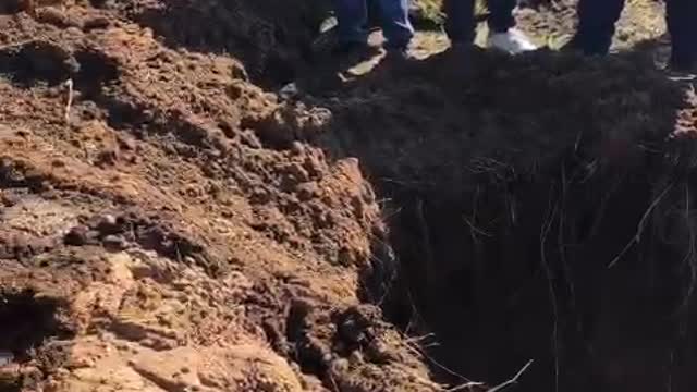 The public exhumation of political prisoner James Booi which took place in Salsolsburg.