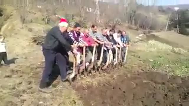 Digging in The Soil