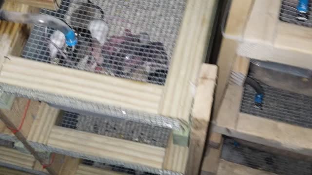 New baby update