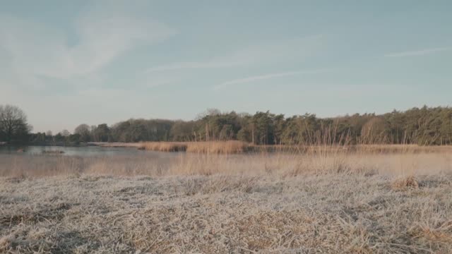 Walking On A Trail Of Dead Wild Grass