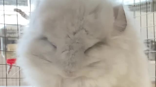 Cositaaa tierna