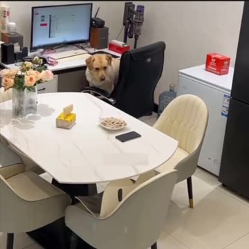 I thought you were finished with dinner 😂😂