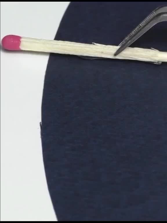 Most popular trending video