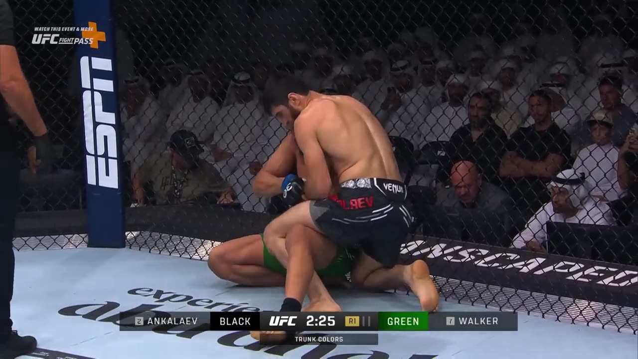 Magomed Ankallaev vs johny Walker1 Free Fight