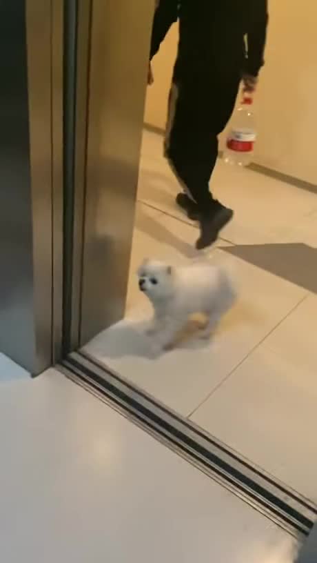 Surrounded, but not broken