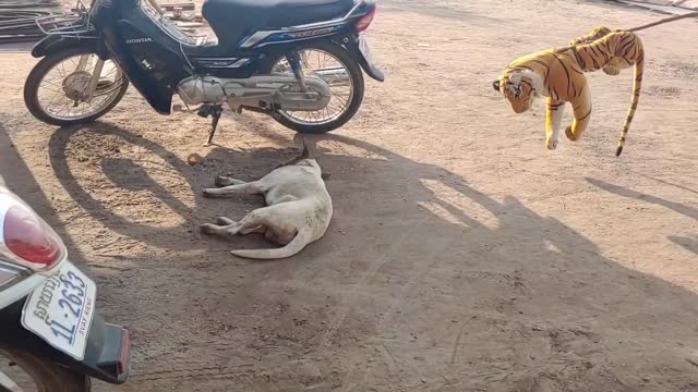 Funny Fake Tiger Prank ~ Tiger Vs. Dog ~ Crazy Video