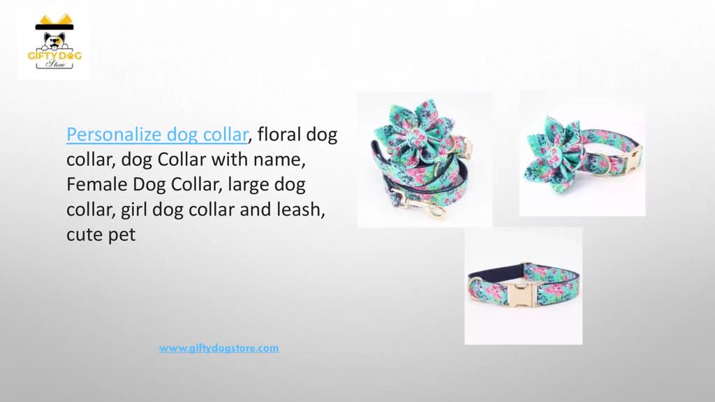 Stylish Dog Collars And Leashes | Harness Set