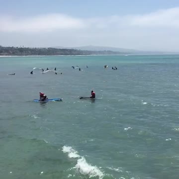 Man explains doheney surf club swimming in ocean