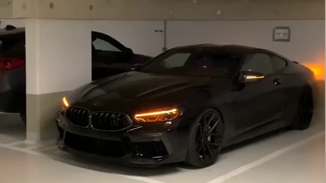 Black beast