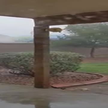Windy, rainy weather moves into the West Valley.