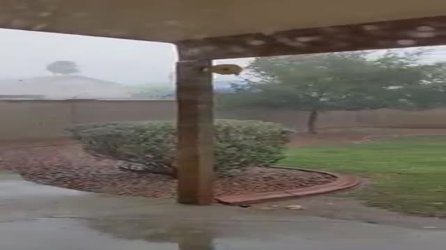 Windy, rainy weather moves into the West Valley.