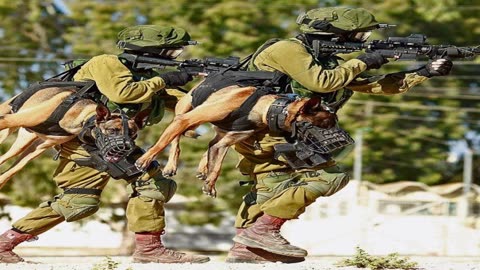 IDF is dismantling Hamas strongholds in Rafah - this is how