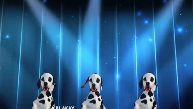 Enjoy Enjaami - CAT and DOG sing