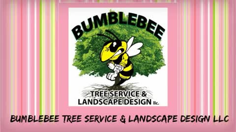 south jersey tree service