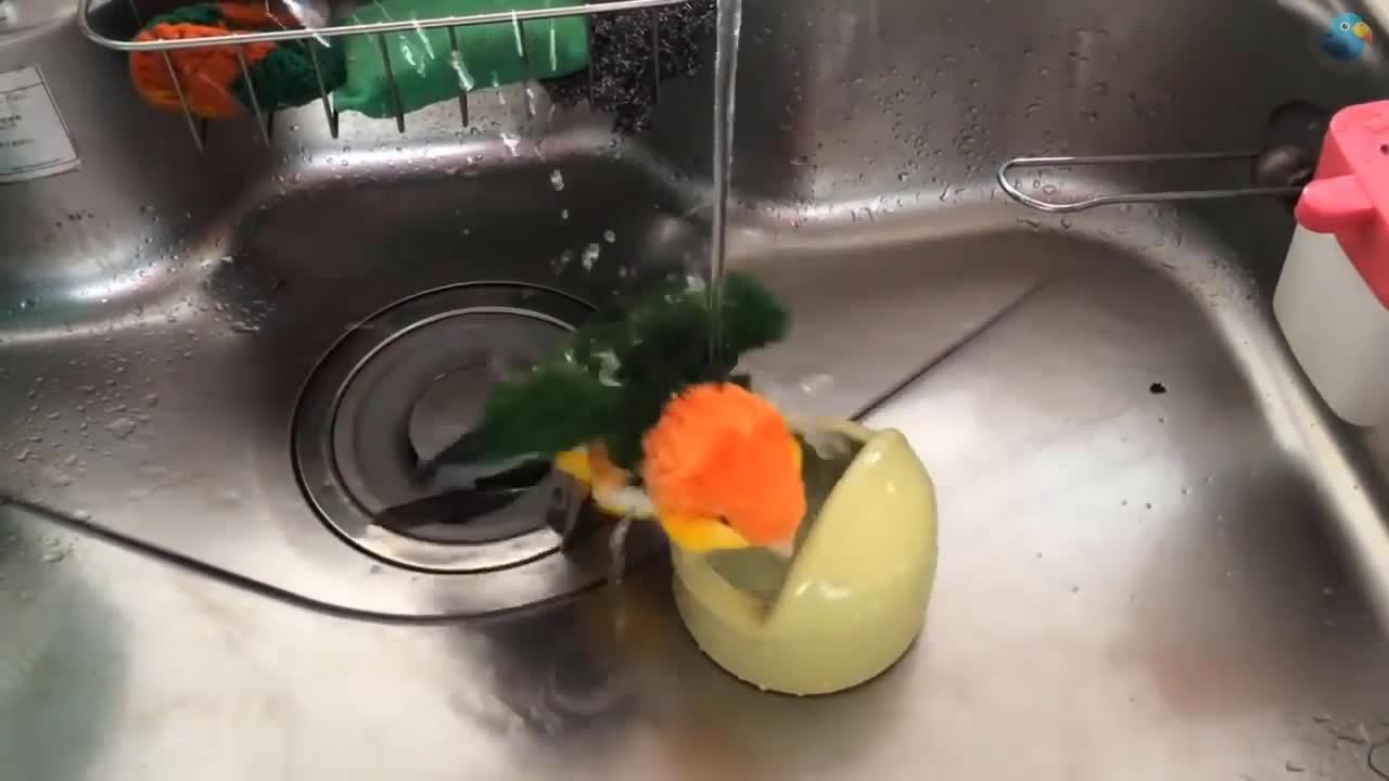 Cute Parrot 🥰 see the cutest parrots in the world