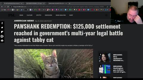 Miska the tabby cat won $125,000 lawsuit against Bellevue county, WA.