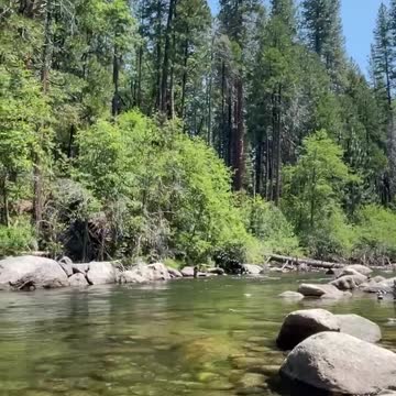 Stanislaus River Tranquility.
