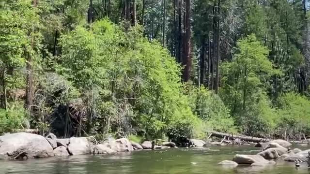 Stanislaus River Tranquility.